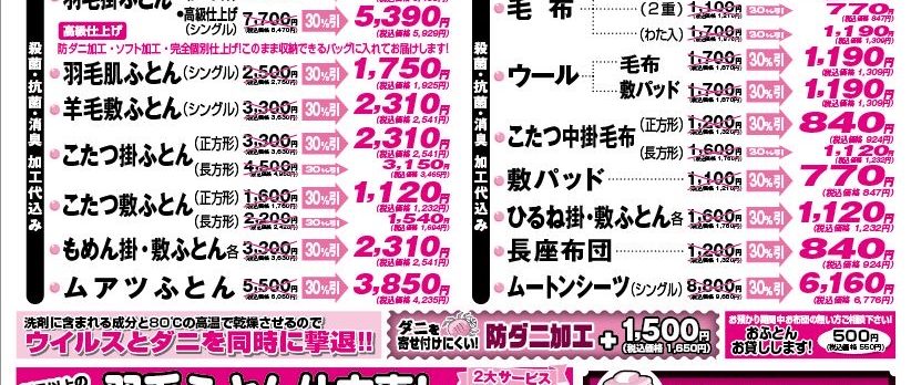 News | おふとんのこいけ